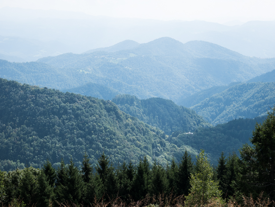 Steiler Anstieg durch Buchenwälder